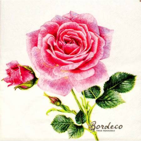 Serwetka decoupage firmy PPD róża 25x25cm